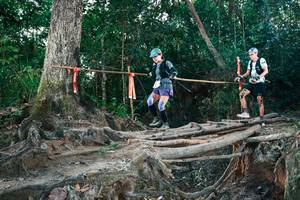 BIB: 
                            <button type="button" onclick="openModal(27323405)" class="btn btn-primary btn-sm float-right btn-popup" data-toggle="modal" data-target=".modal-high-quality">
                        <i class="fas fa-shopping-cart"></i> Add to Cart
                    </button>
                                            <button type="button" onclick="isThisMe(27323405, true)" class="btn btn-success btn-sm float-right btn-popup btn-isme hidden" data-toggle="tooltip" data-placement="bottom" title="นี่คือรูปของคุณใช่ไหม คลิกที่นี่เพื่อเอาเข้าอัลบั้ม">
                        <i class="fas fa-plus"></i> Add to album
                    </button>
                    <button type="button" onclick="isThisMe(27323405, false)" class="btn btn-warning btn-sm float-right btn-popup btn-isnotme hidden">
                        <i class="fas fa-ban"></i> Remove from album
                    </button>